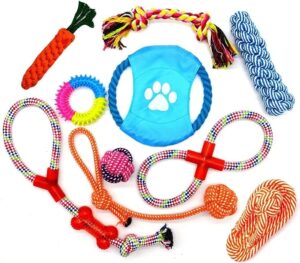 Jappymount Dog Toys